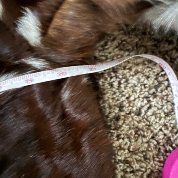 Real Cowhide Hair on Hide Western Jacket Womens New - Picture 10 of 11